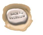 Overview