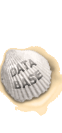 Database
