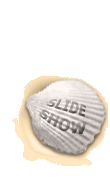 Start slideshow