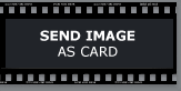 Send as card